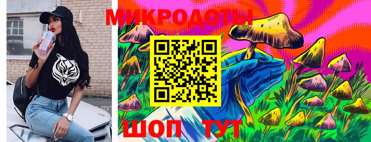 Скопин  Псилоцибиновые грибы MAGIC MUSHROOMS  Вход с VPN 