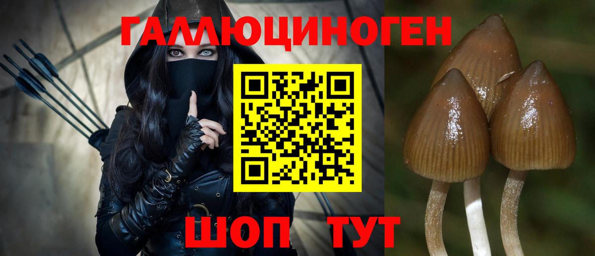 Псилоцибиновые грибы MAGIC MUSHROOMS Скопин